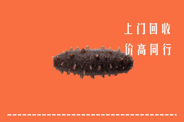 吕梁中阳县回收海参