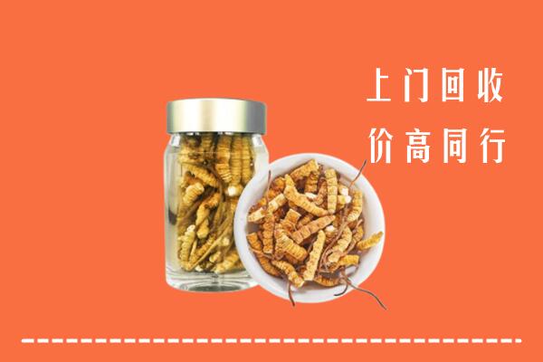 吕梁中阳县回收冬虫夏草