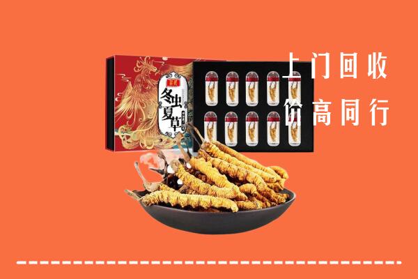 吕梁中阳县回收虫草